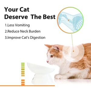 immaculife Ceramic Raised Cat Food Bowl for Elder Big Cats, Elevated Cat Dish, Tilt Angle Protect Cat's Spine, Stress Free, Backflow Prevention, Gift for cat