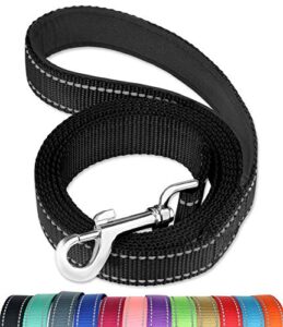funtags 6ft reflective dog leash with soft padded handle for training,walking lead for large & medium dog,1 inch wide,black