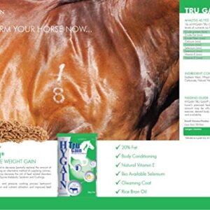 Hygain TRU GAIN - High Fat Conditioner - Rice Bran Oil Pellet with Vitamin E and Selenium