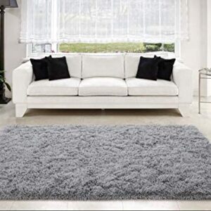 Zareas Soft Fluffy Rug for Bedroom, 4x6 Feet Shaggy Grey Rug, Plush Area Rugs for Living Room Kids Room, Furry Rugs Shag Rugs for Apartment Dorm, Fuzzy Rugs Non-Slip for Home Decor