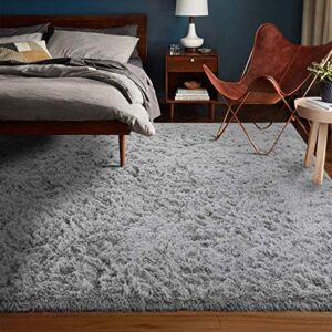 Zareas Soft Fluffy Rug for Bedroom, 4x6 Feet Shaggy Grey Rug, Plush Area Rugs for Living Room Kids Room, Furry Rugs Shag Rugs for Apartment Dorm, Fuzzy Rugs Non-Slip for Home Decor