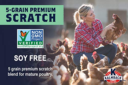 Kalmbach Feeds Soy Free Non-GMO 5 Grain Premium Scratch Grain Treat for Chickens, 50 lb