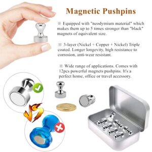 Refrigerator Magnet Push Pin - Rakizbe Brushed Nickel Steel Fridge magents, Magnetic Pushpins, Magnet Thumb Tacks, Magnets for Whiteboard, Kitchen, Office, Bulletin Board, Lockers (Sliver)