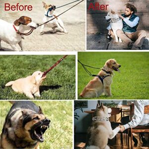 Darkyazi Durable Pinch Collar Stainless Steel Dog Adjustable Pet Training Collar for Medium Large Dogs (Large (Pack of 1), Silver)