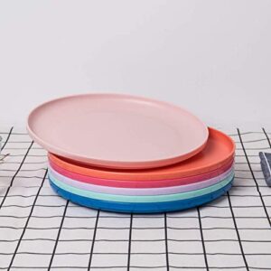 Durable and Reusable 9.75-inch Colored Plastic Dinner Plates set for Parties, Set of 6, Dishwasher Safe, BPA Free