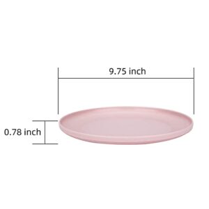 Durable and Reusable 9.75-inch Colored Plastic Dinner Plates set for Parties, Set of 6, Dishwasher Safe, BPA Free