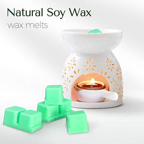 SCENTORINI Wax Melts, Wax Cubes, Soy Wax Cubes for Wax Warmer, Ocean Breeze, Fresh Linen, Bohemia Forest, Winds in Summer, 4 x 2.5oz