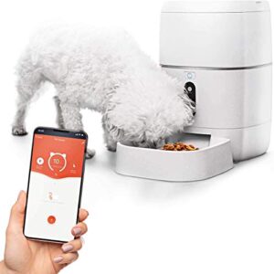 home zone pet automatic feeder - smart wireless pet feeder for small dogs and cats, 6l