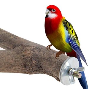 Tongxu 2 Pack Bird Perch Parrot Natural Wood Stand, Tree Branch Pet Wood Bird Stand Perch for Small and Medium Parrots, Parakeets, Cockatiels, Lovebirds