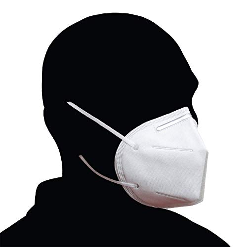 Plexon Disposable Ear Loop 4 Ply Face Protection Mask, PM2.5, Non-woven Fabric, Purifying and Breathable, Medium Size with Nose Bridge Clip (Pack of 10)