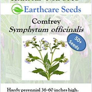 Earthcare Seeds True Comfrey 50 Seeds (Symphytum officinale) Non GMO, Heirloom