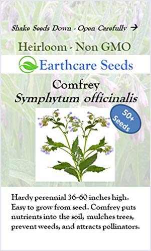 Earthcare Seeds True Comfrey 50 Seeds (Symphytum officinale) Non GMO, Heirloom