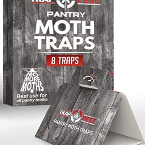 8 Pack Pantry Moth Traps- Safe and Effective for Food and Cupboard- Glue Traps with Pheromones for Pantry Moths