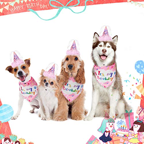 Dog Birthday Bandana Set - Cute Hat and Squeaky Cake Toy for Birthday Party Supplies Gift - Great for Small Medium Large Dogs Pink