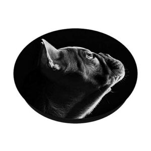 Cute Black French Bulldog Frenchie Dog Lovers Gift PopSockets PopGrip: Swappable Grip for Phones & Tablets