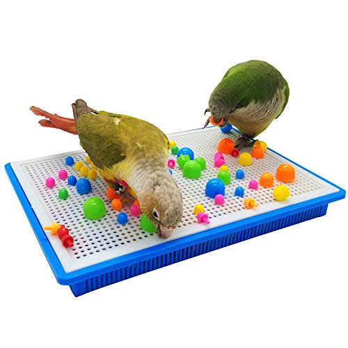 QBLEEV Bird Intelligence Training Toy,Parrot Puzzle Building Blocks Toy,Tabletop Treats Education Toys, Bird Plastic Cage Playpen Toys for Parakeet Cockatiel Conure Budgie (Large)