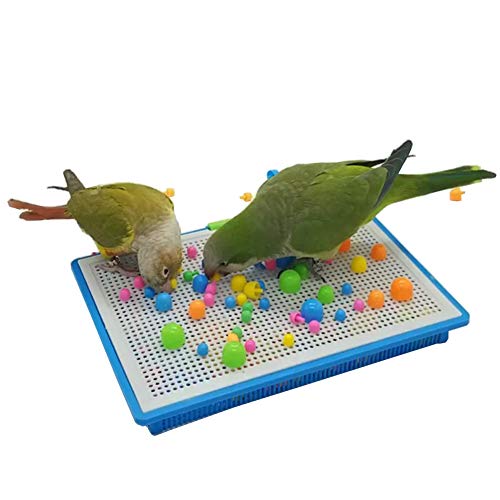 QBLEEV Bird Intelligence Training Toy,Parrot Puzzle Building Blocks Toy,Tabletop Treats Education Toys, Bird Plastic Cage Playpen Toys for Parakeet Cockatiel Conure Budgie (Large)