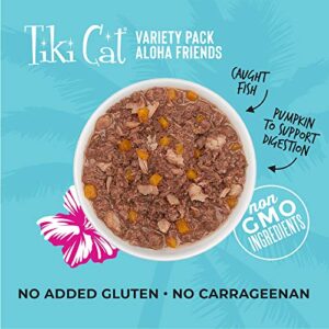 Tiki Cat Aloha Friends Variety Pack, Seafood Flavors with Pumpkin, Wet, High-Protein & High-Moisture Cat Food, for All Life Stages, 5.5 oz. Cans (Case of 12)