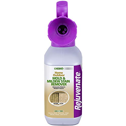 Rejuvenate High Performance Dual Bottle 32oz Outdoor Window Cleaner & 32oz Mold and Mildew Stain Remover with Hose-End Attachment