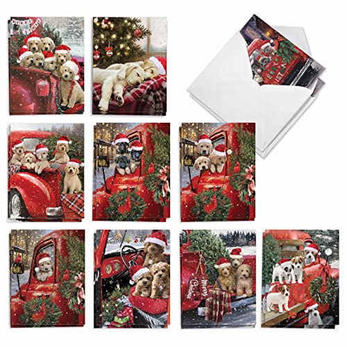 NobleWorks Variety Pack of 20 Christmas Greeting Cards with Envelopes, Humor Holiday Assortment for Men and Women (10 Designs, 2 Each) - Red Truck Puppies AM3375XSG-B2x10