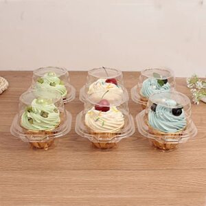 Single Cupcake Boxes -Individual Cupcake Container - Single Compartment Cupcake Carrier Holder Box - Stackable - Deep Dome - Clear Plastic - BPA-Free- (25)