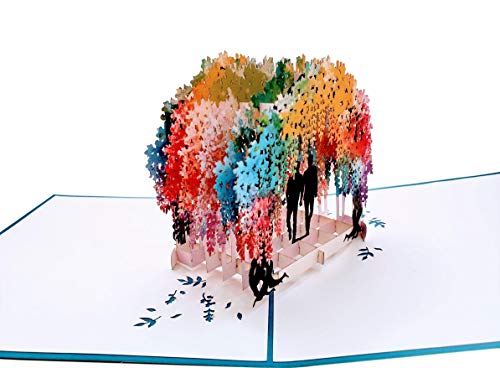 iGifts And Cards Gay Rainbow Wisteria Flower Tunnel 3D Pop Up Greeting Card - Romantic, Engagement, Anniversary, Wedding, Pride, Lovers, Grooms, LGBT