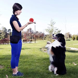 petizer Squeaky Dog Ball Toy for Aggressive Chewers,4 Inches Durable Big Dogs Chew Spiky Ball, Floatable Rubber Pet Toys for Medium &Large Breeds, Red