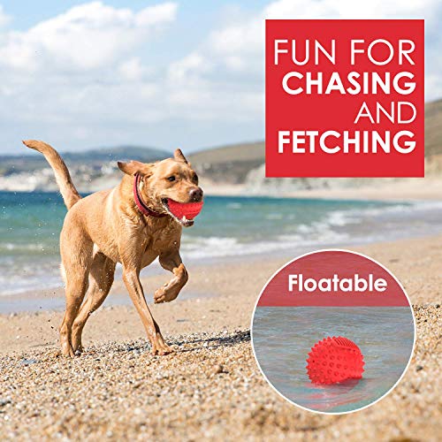 petizer Squeaky Dog Ball Toy for Aggressive Chewers,4 Inches Durable Big Dogs Chew Spiky Ball, Floatable Rubber Pet Toys for Medium &Large Breeds, Red