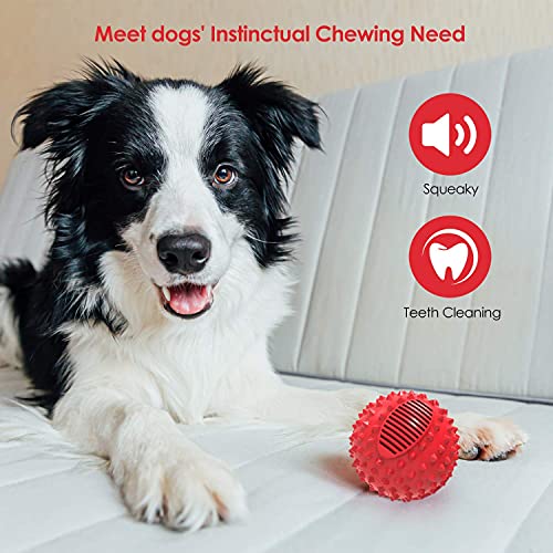 petizer Squeaky Dog Ball Toy for Aggressive Chewers,4 Inches Durable Big Dogs Chew Spiky Ball, Floatable Rubber Pet Toys for Medium &Large Breeds, Red