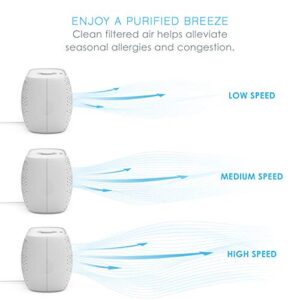 Pure Enrichment® PureZone™ Breeze Tabletop 2-in-1 Air Purifier - True HEPA Filter Cleans Air, Helps Alleviate Allergies, Removes Pet Hair, & Smoke - Ideal for Home, Bedroom, & Office Desktop Surfaces