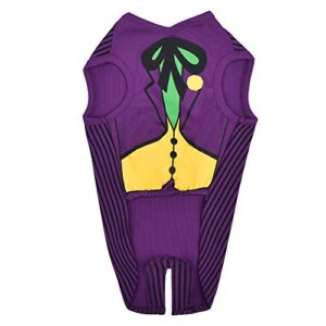 DC Comics Joker Dog Costume, Extra-Small (XS) | Superhero Costume for Dogs | Purple Dog Halloween Costumes for Small Dogs, Cute Joker Costume | See Sizing Chart for Details