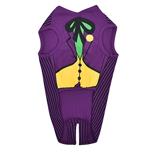 DC Comics Joker Dog Costume, Extra-Small (XS) | Superhero Costume for Dogs | Purple Dog Halloween Costumes for Small Dogs, Cute Joker Costume | See Sizing Chart for Details