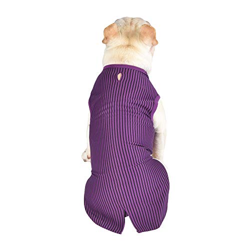 DC Comics Joker Dog Costume, Extra-Small (XS) | Superhero Costume for Dogs | Purple Dog Halloween Costumes for Small Dogs, Cute Joker Costume | See Sizing Chart for Details