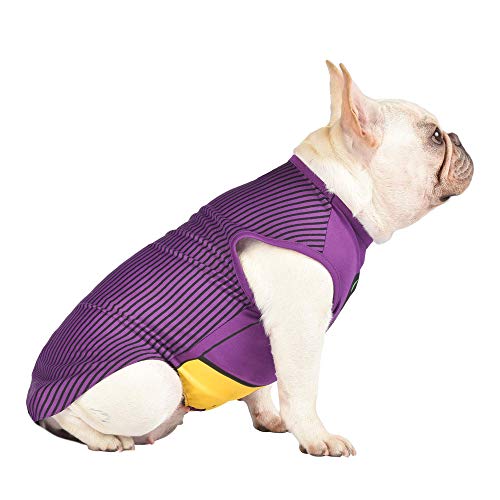 DC Comics Joker Dog Costume, Extra-Small (XS) | Superhero Costume for Dogs | Purple Dog Halloween Costumes for Small Dogs, Cute Joker Costume | See Sizing Chart for Details