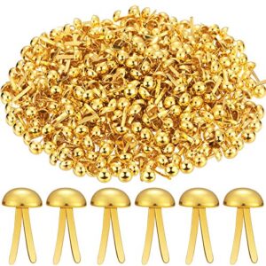500 pieces paper brass fasteners brass brads round fasteners for kids craft art crafting school project decorative scrapbooking diy supplies(golden,0.3 x 0.6 inch)