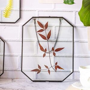 NCYP Wall Hanging Black 8X10 inches Long Octagon Herbarium Brass Glass Frame for Pressed Flowers, Dried Flowers, Poster, Double Glass, Floating Frame Style, Glass Frame Only