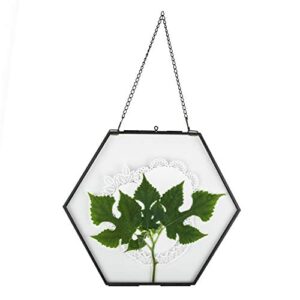 ncyp side length 4.7 inches small hanging black hexagon herbarium 8inches brass glass frame for pressed flowers, dried flowers, double glass floating frame style, glass frame only