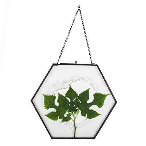 NCYP Side Length 4.7 inches Small Hanging Black Hexagon Herbarium 8inches Brass Glass Frame for Pressed Flowers, Dried Flowers, Double Glass Floating Frame Style, Glass Frame Only