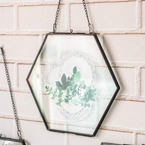 NCYP Side Length 4.7 inches Small Hanging Black Hexagon Herbarium 8inches Brass Glass Frame for Pressed Flowers, Dried Flowers, Double Glass Floating Frame Style, Glass Frame Only