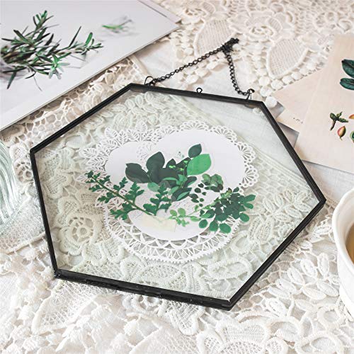 NCYP Side Length 4.7 inches Small Hanging Black Hexagon Herbarium 8inches Brass Glass Frame for Pressed Flowers, Dried Flowers, Double Glass Floating Frame Style, Glass Frame Only