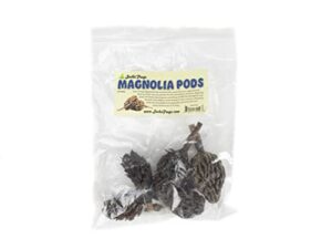 josh's frogs magnolia pods (includes 5 pods)