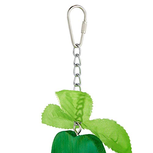 Petco Brand - You & Me The Little Apple Chewing Bird Toy, Small