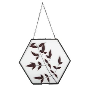 ncyp medium hanging black hexagon herbarium brass glass frame for pressed flowers, dried flowers, poster, double glass, side length 5.8 inches floating frame, glass frame only