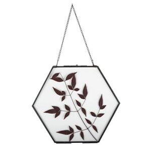 NCYP Medium Hanging Black Hexagon Herbarium Brass Glass Frame for Pressed Flowers, Dried Flowers, Poster, Double Glass, Side Length 5.8 inches Floating Frame, Glass Frame Only