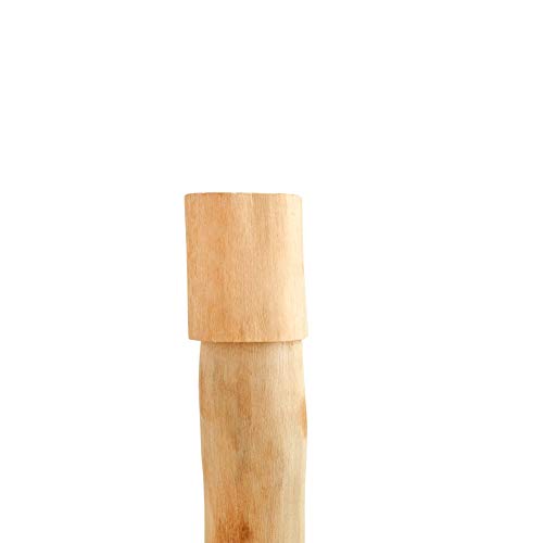 You & Me Expresso Yourself Java Wood Perch, Medium