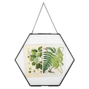 ncyp side length 6.8 inches large hanging black hexagon herbarium brass glass frame for pressed dried flowers, poster, double glass, floating frame style, glass frame only