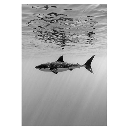 VIIRY Whale Shark Wall Art Canvas Print Poster Black and White Art Deco Painting Hand Painted Texture Canvas Living Room Bedroom Study Painting for Home Decorations(Unframed) (16x20in)