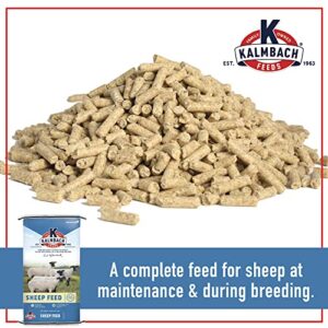 Kalmbach Feeds Medicated Ewe Builder Pelleted Feed for Sheep, 50 lb Bag