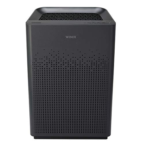 Winix AM80 True HEPA Air Purifier with Washable Advanced Odor Control (AOC) Carbon Filter, 360sq ft Room Capacity, Dark Grey, Large