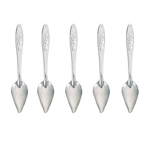 5 Pcs Bird Parrot Feeder Spoon Stainless Steel Milk Medicine Parrot Feeding Spoon for All Baby Bird Peony Cockatiel 4.7"